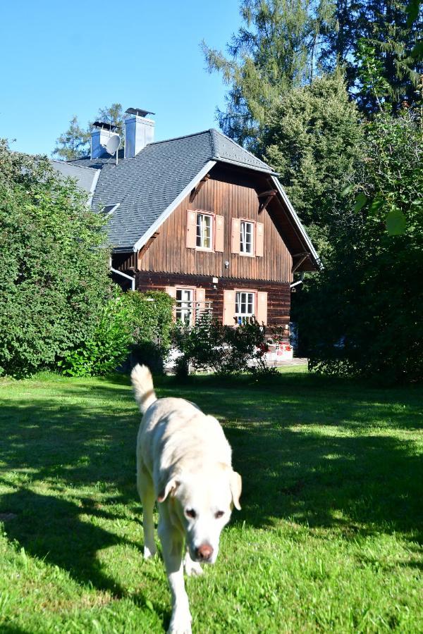 Naturforsthaus Ferienwohnung Fuer Hunde- Und Tierverbundene Menschen Preitenegg Exteriér fotografie